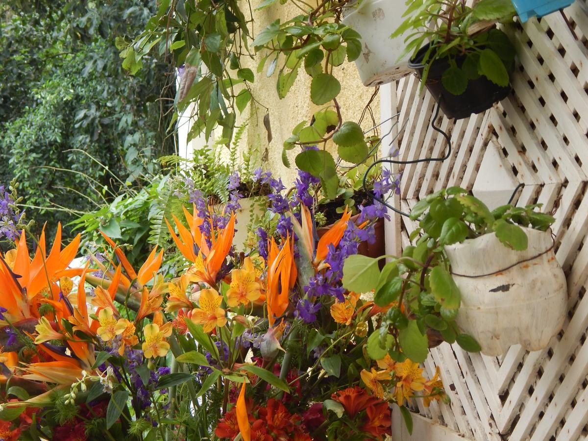Casa Sao Conrado Guest house