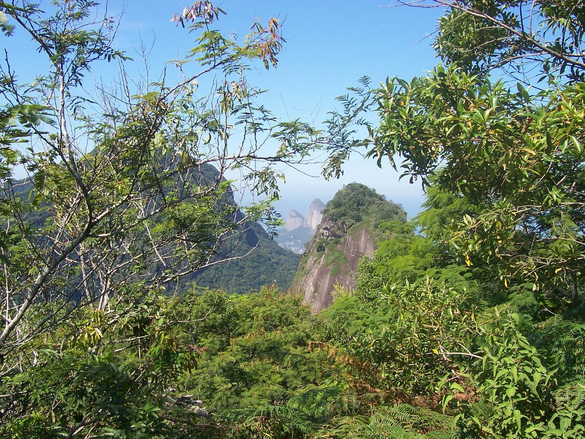 Casa Sao Conrado * Rio de Janeiro